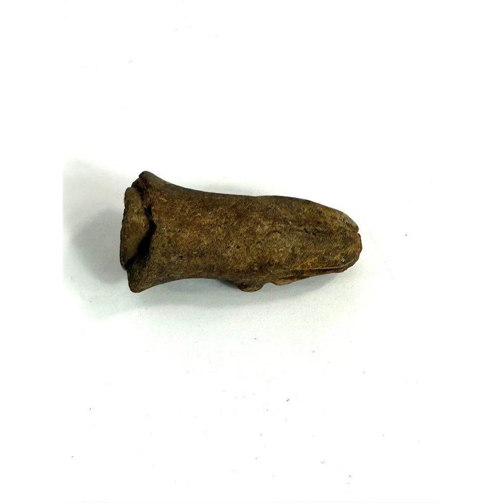 Antique Pre-Columbian Style Terracotta Dog Head Fragment