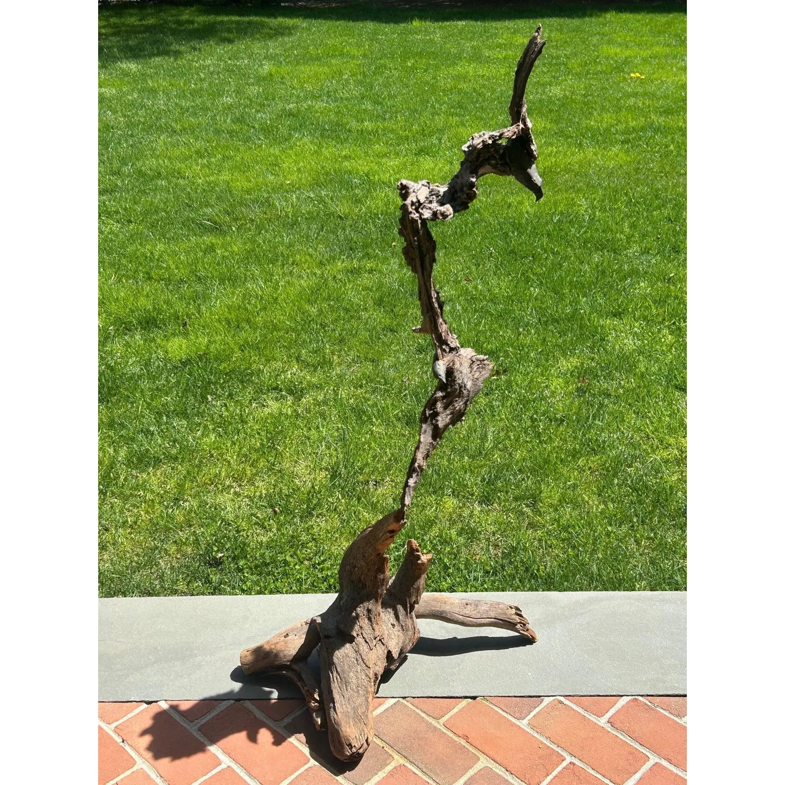 Signed Lubomir Tomaszewski Monumental Wood And Copper Bird Sculpture, 45 Inches