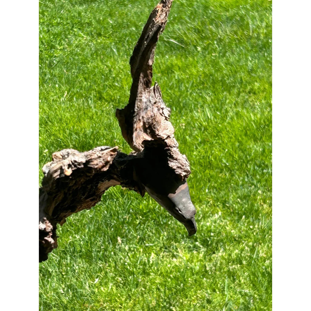 Signed Lubomir Tomaszewski Monumental Wood And Copper Bird Sculpture, 45 Inches