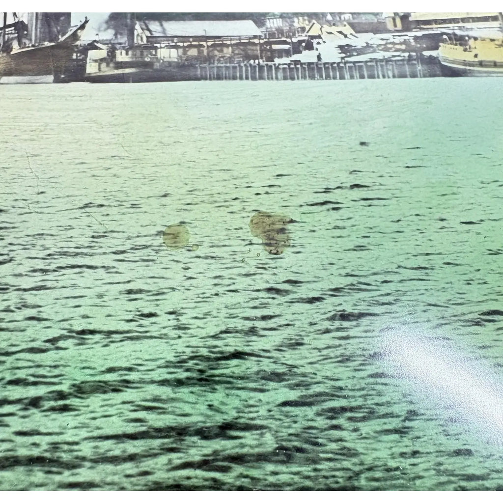 Rare Antique Hand-Colored Photograph of Port Blakely, WA Mill (c. 1900) by Wilhelm Hester