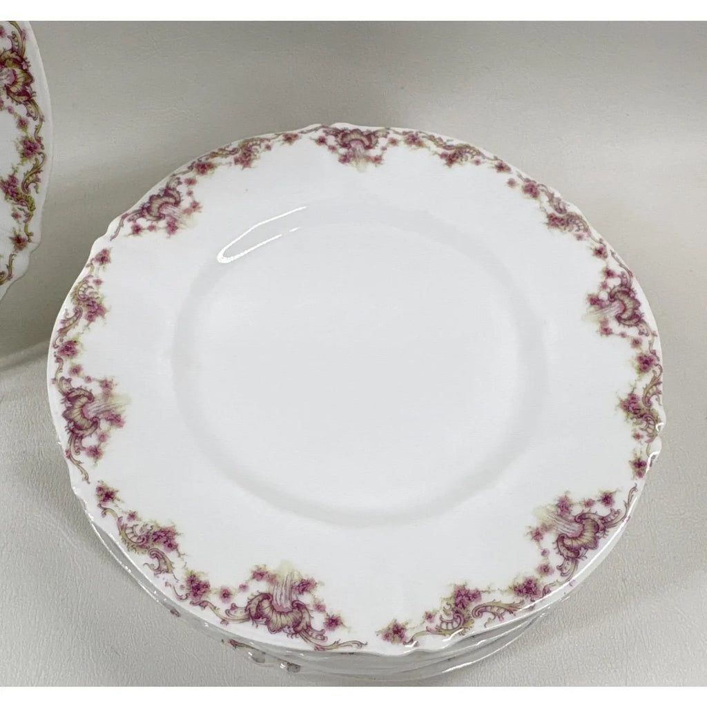 Antique Theodore Haviland Limoges 7-Pc Set – Schleiger 1047 for J. Seth Hopkins