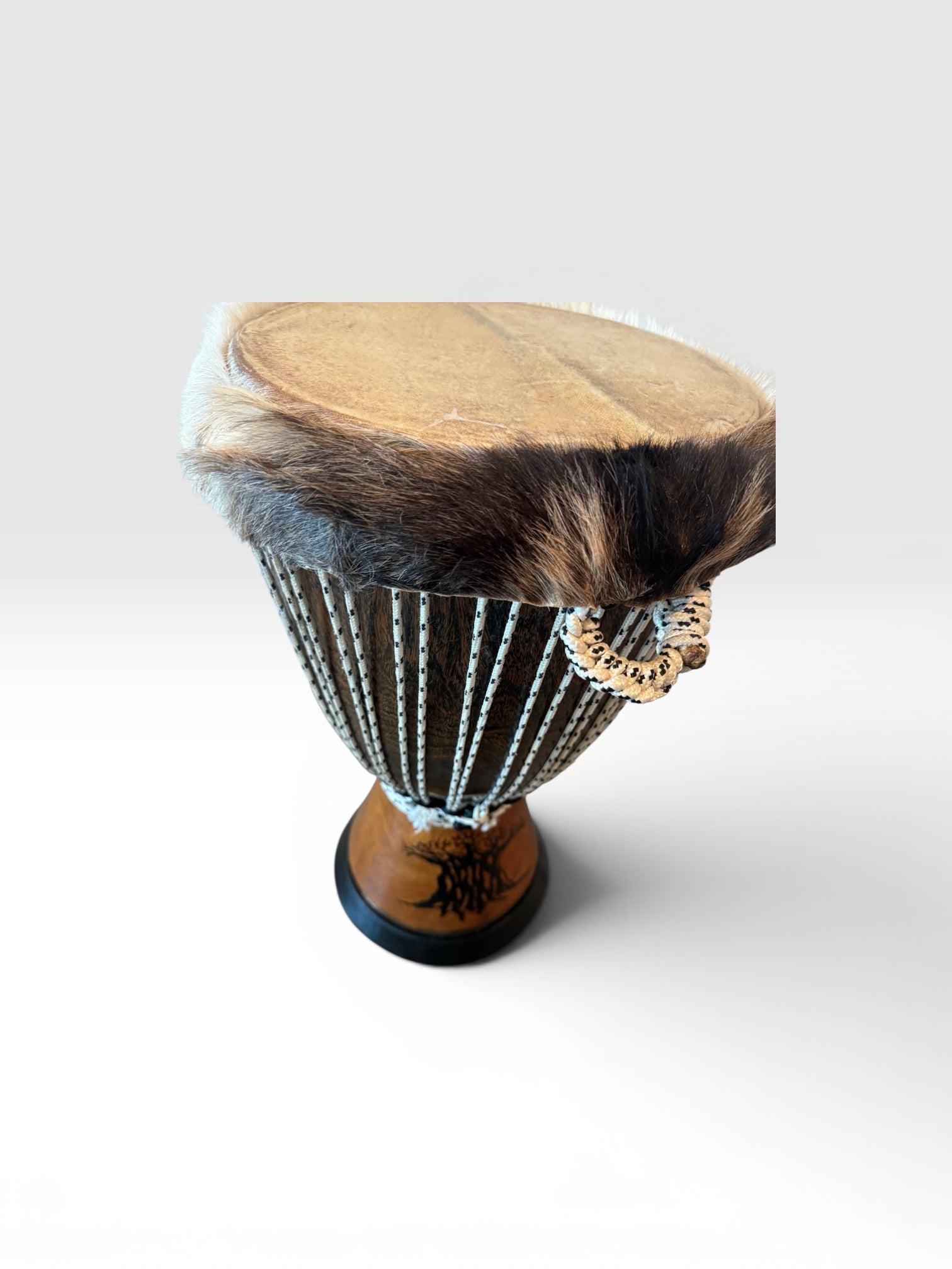 Professional West African Djembe Hand Carved Baobab Tree Drum With Case