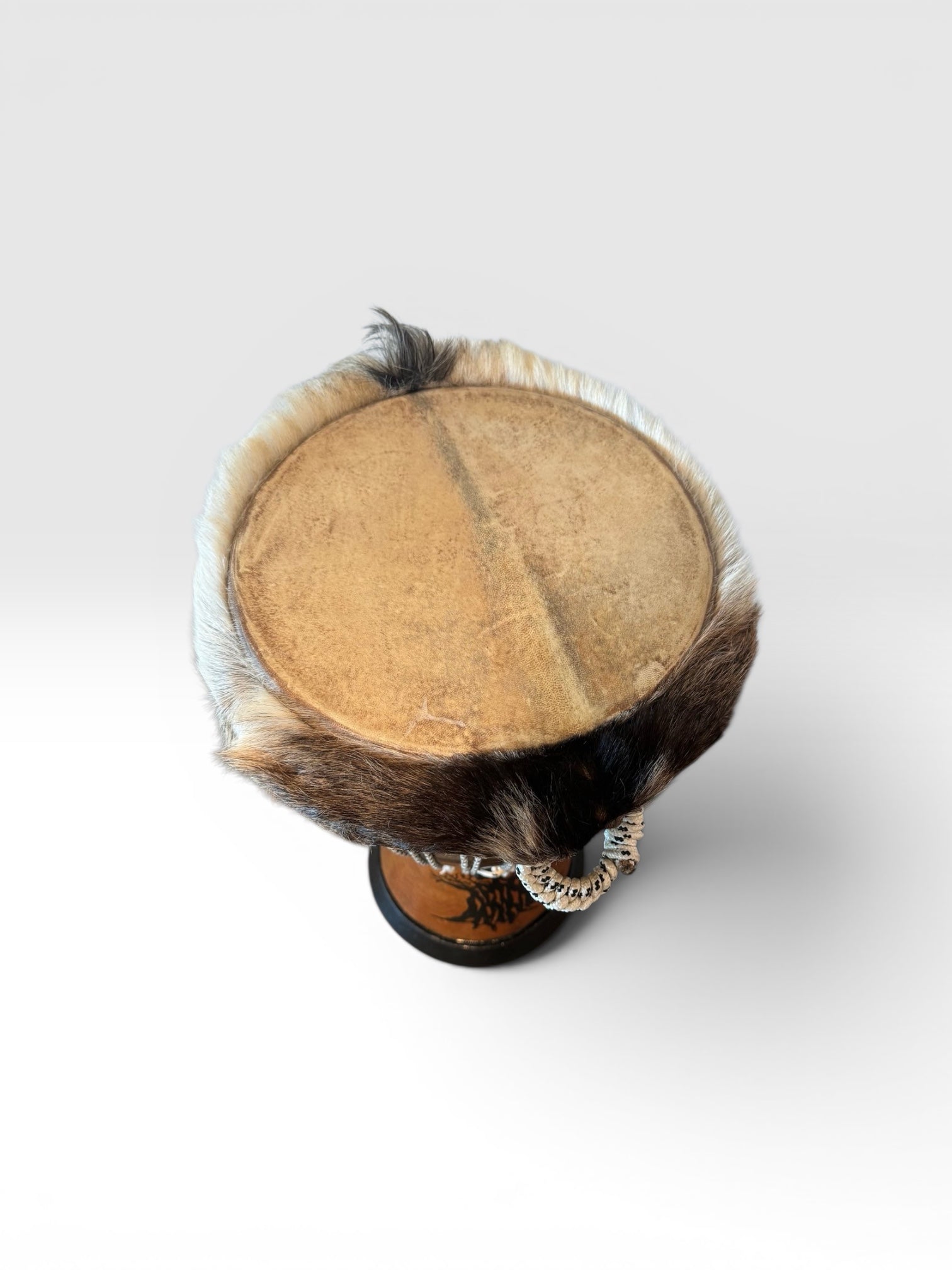 Professional West African Djembe Hand Carved Baobab Tree Drum With Case